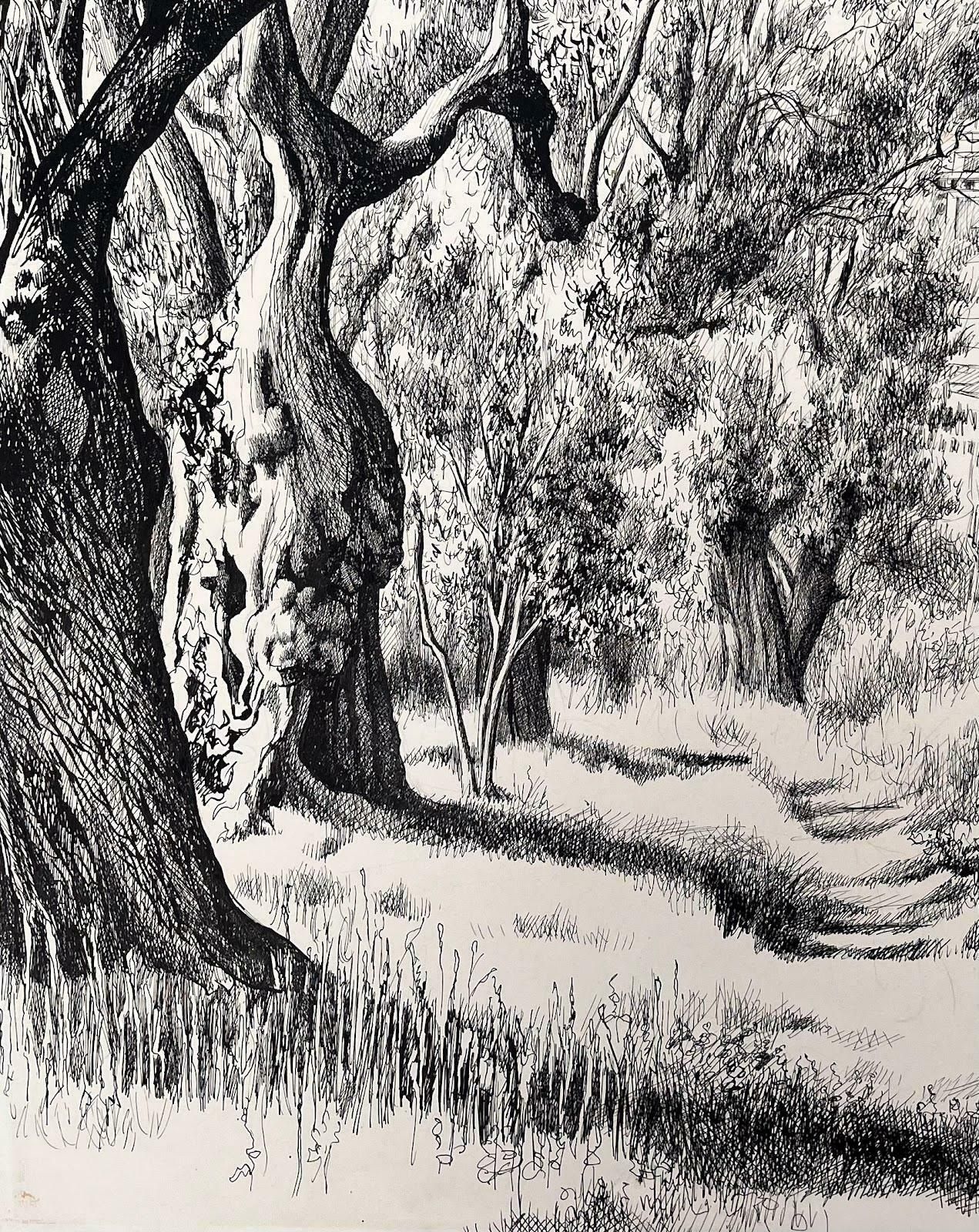 Josine Vignonmid Century French Original Ink Drawing   Urban View Through Olive Trees1950's photo 894.0