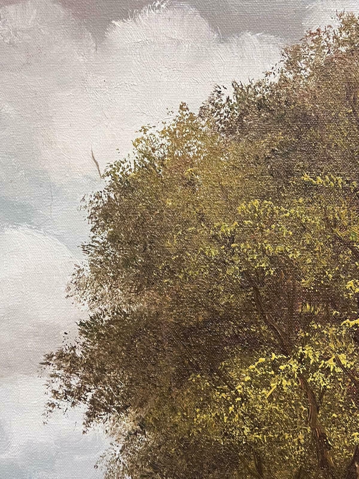 English Artisttranquil Rural English River Landscape Signed Oil Painting On Canvas photo 1022.0