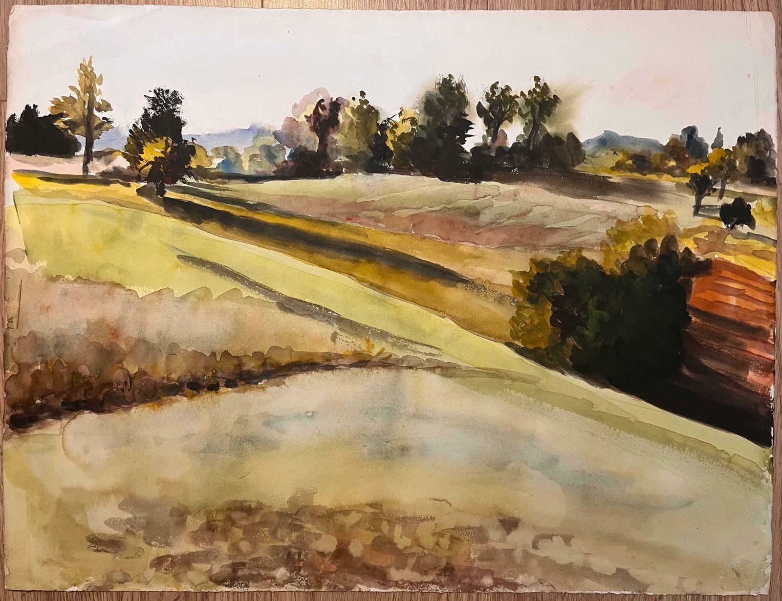 Josine Vignonmid Century French Original Watercolor Of Sunlit Fields1950's photo furniture