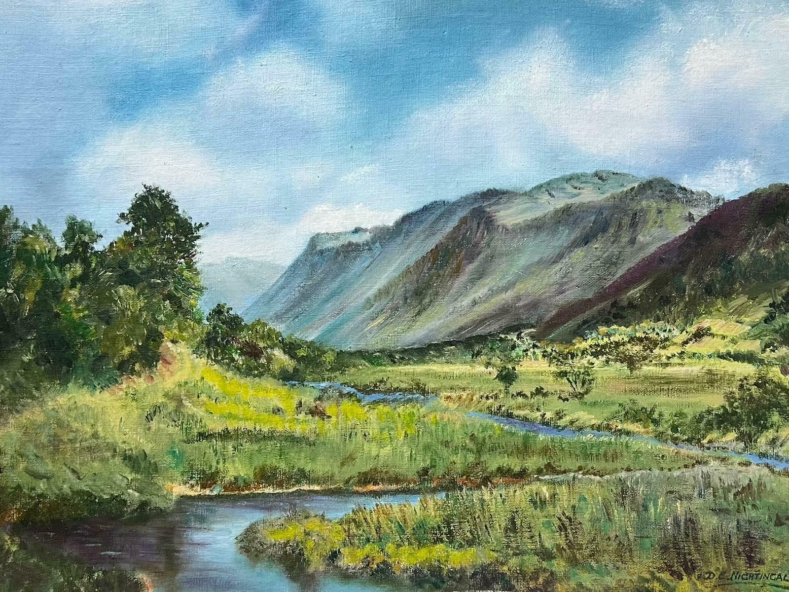 D. E. Nightingalenorth Wales River Landscape River Afon At Abergynolwyn Signed Oil Painting