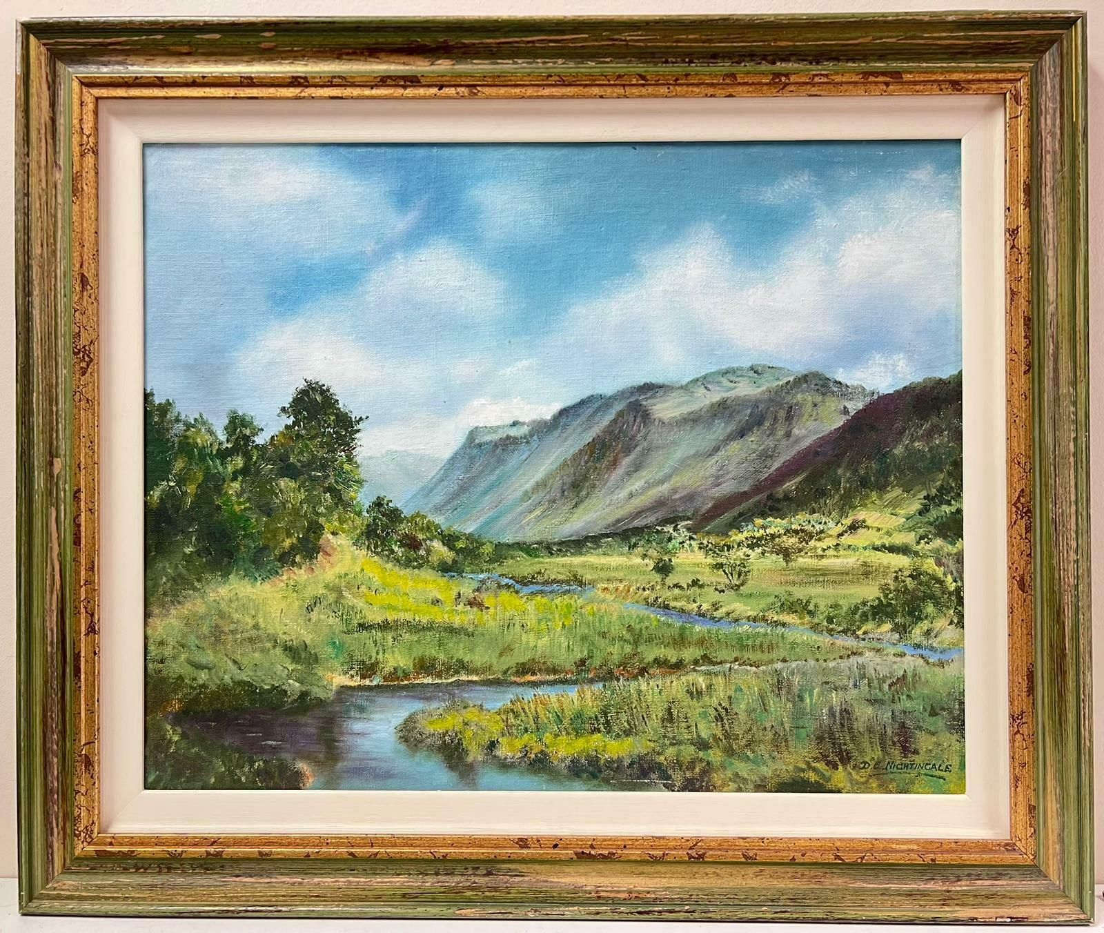 D. E. Nightingalenorth Wales River Landscape River Afon At Abergynolwyn Signed Oil Painting photo furniture