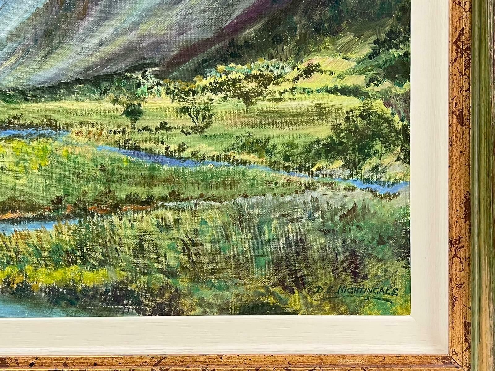 D. E. Nightingalenorth Wales River Landscape River Afon At Abergynolwyn Signed Oil Painting photo for sale