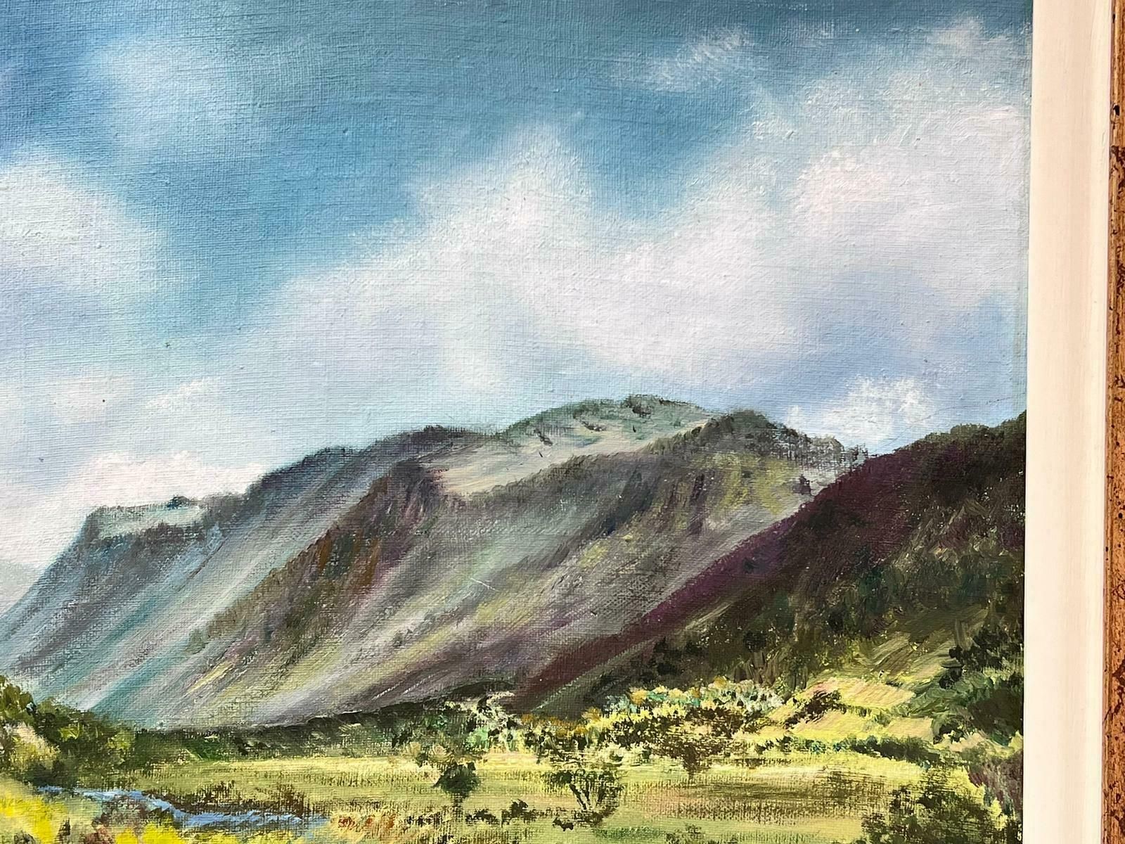 D. E. Nightingalenorth Wales River Landscape River Afon At Abergynolwyn Signed Oil Painting photo 914.0