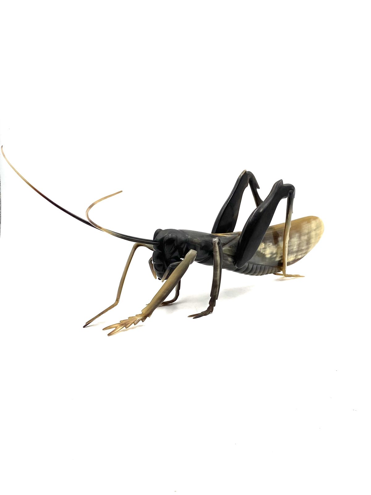 Mid Century Hand Crafted Horn Grasshopper, France 1960s photo Home Decor