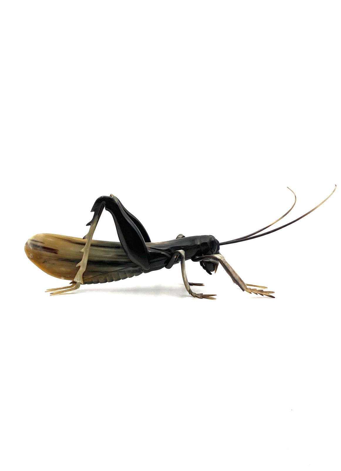 photo for sale Mid Century Hand Crafted Horn Grasshopper, France 1960s