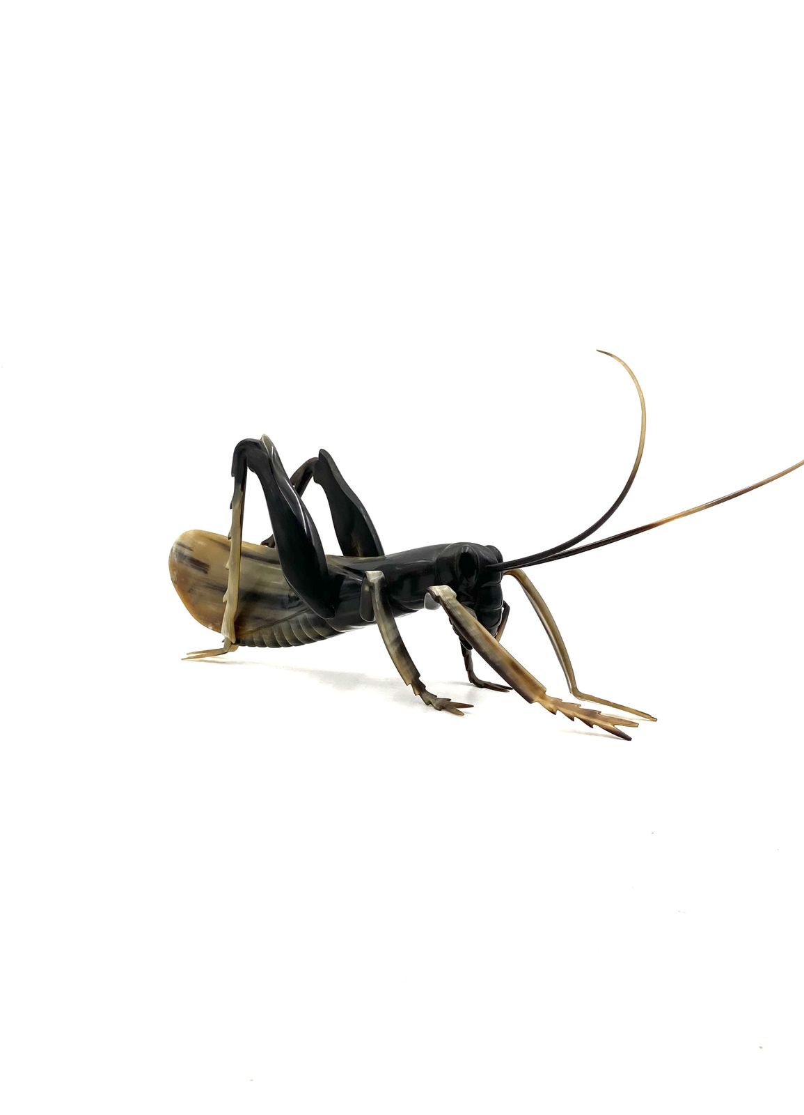photo buy Mid Century Hand Crafted Horn Grasshopper, France 1960s