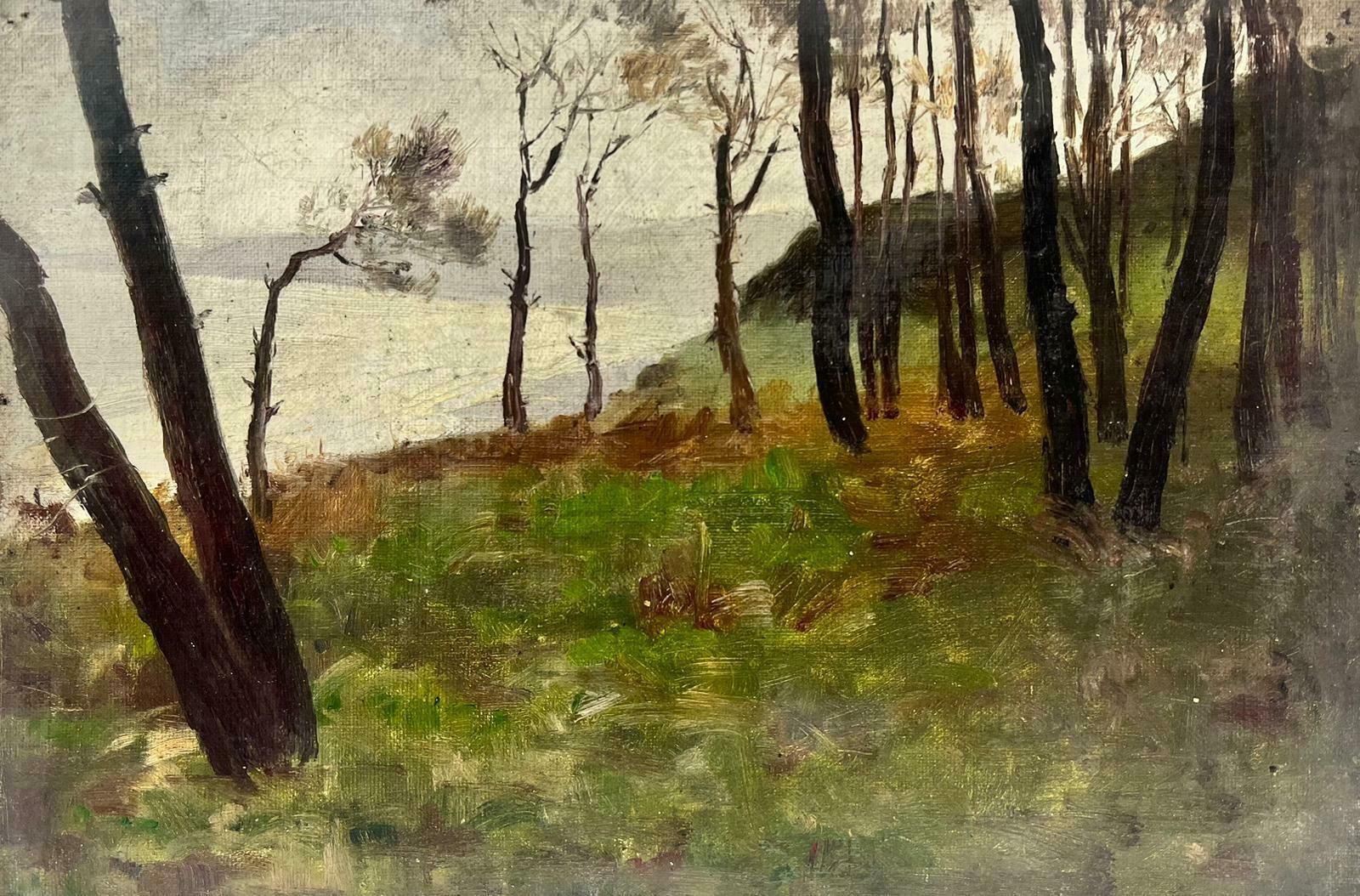 French Schoolatmospheric French Impressionist Oil Painting Early 20th Century Woodland Lake