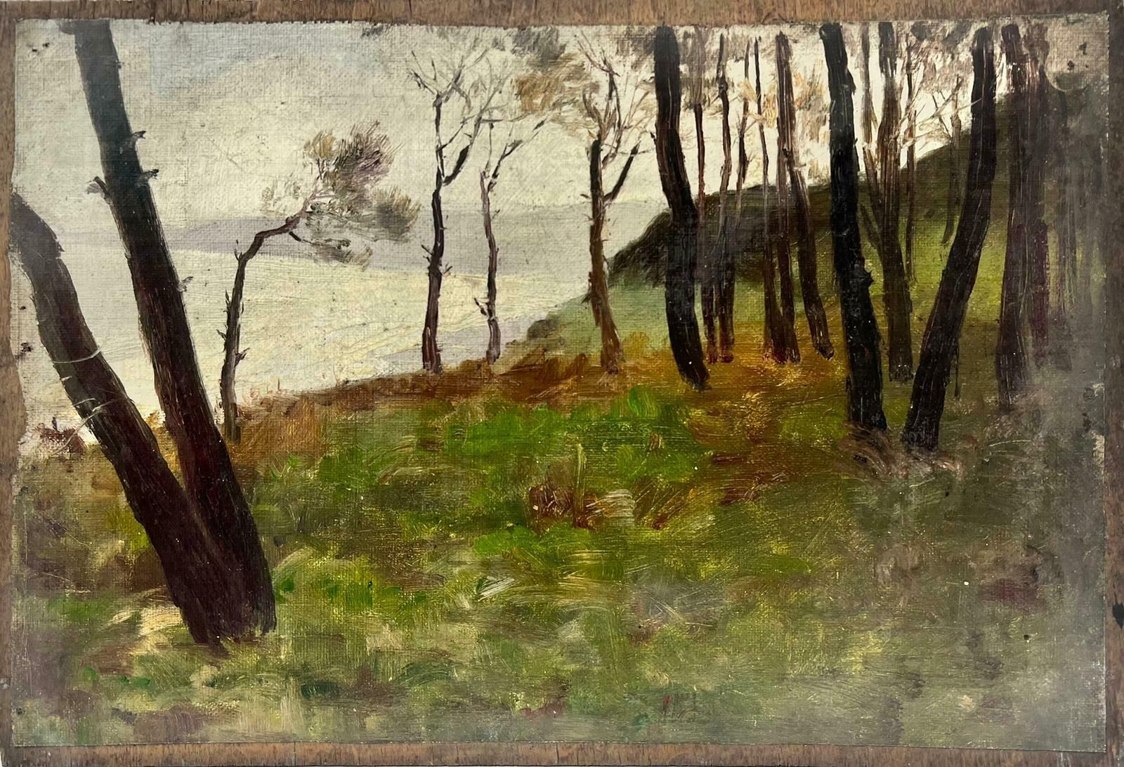 French Schoolatmospheric French Impressionist Oil Painting Early 20th Century Woodland Lake photo furniture