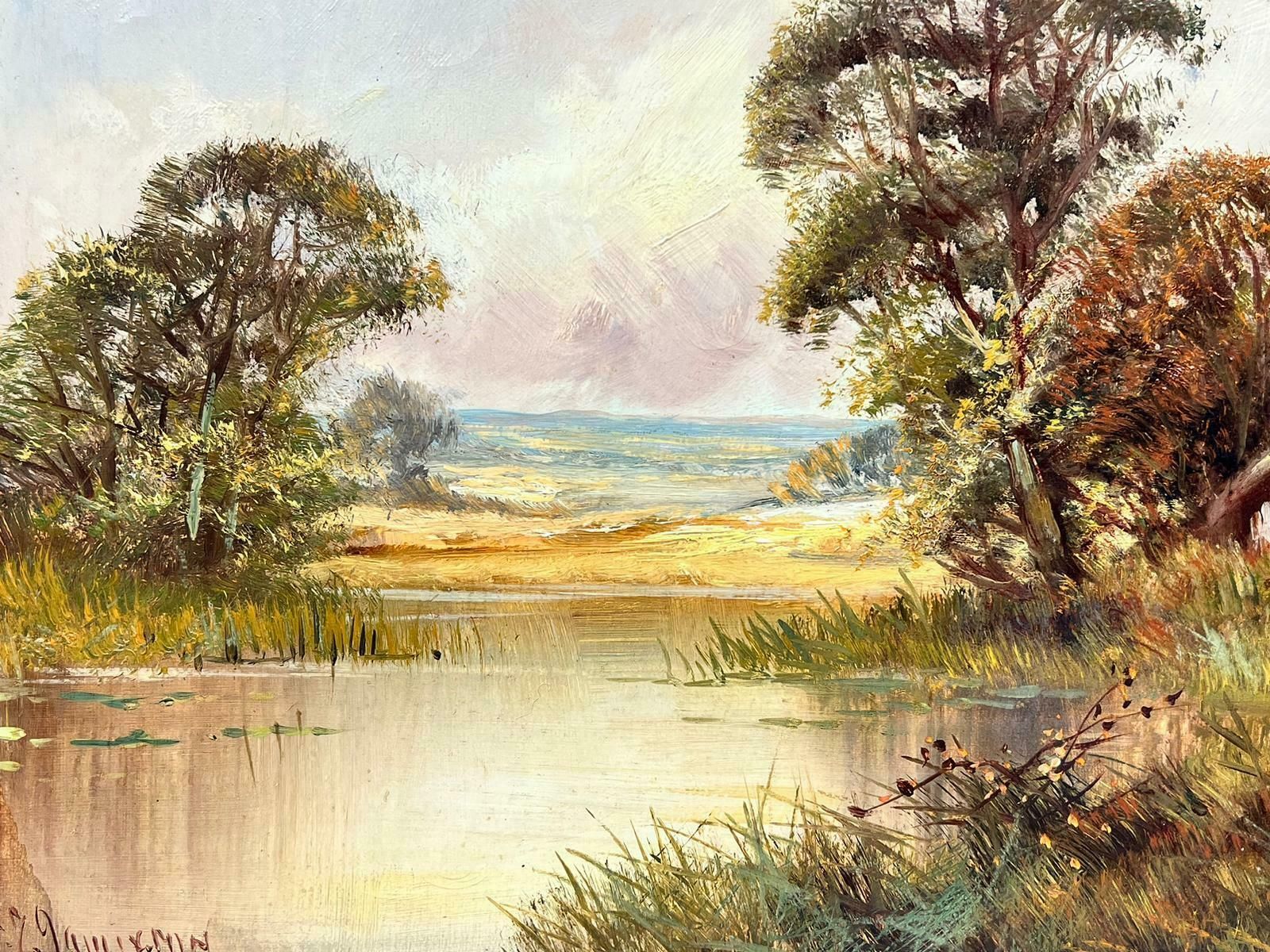 F. E. Jamiesonantique English Oil Painting Tranquil River Cottage In Landscape Signed Painting photo 2239.0