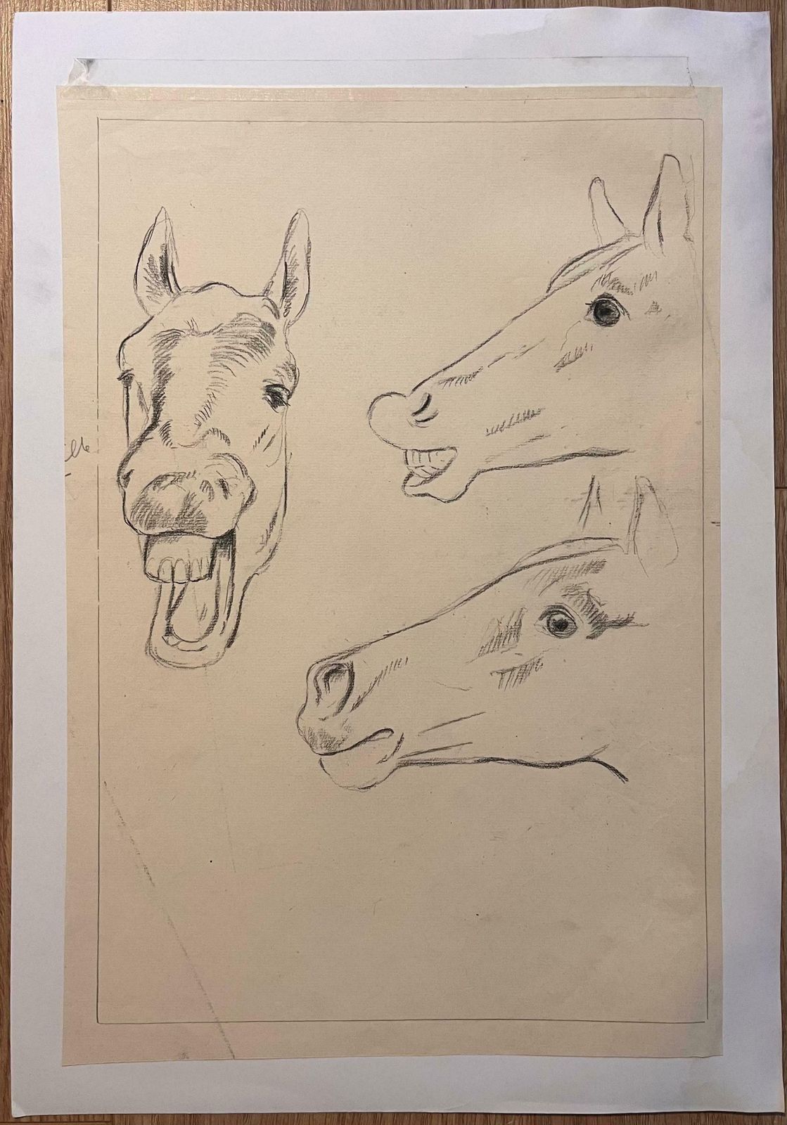 Robert Ladouoriginal French Anatomical Pencil Study Exploring Horse's Expressions20th Century photo furniture