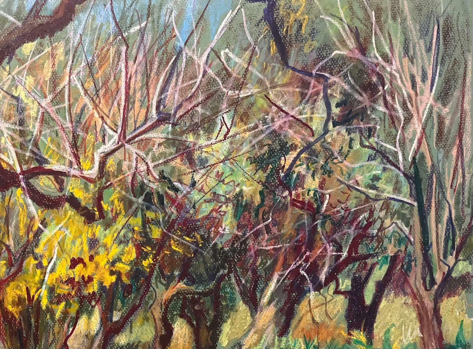 Josine Vignonmid Century French Original Pastel Painting Of Vibrant Sun Drenched Orchard1950's photo Art