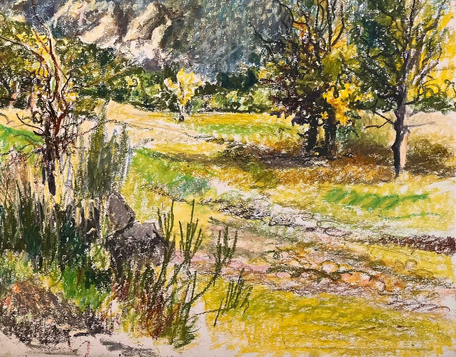 Josine Vignonmid Century French Original Pastel Drawing Of Mountainous Landscape Scene1950's photo 865.0