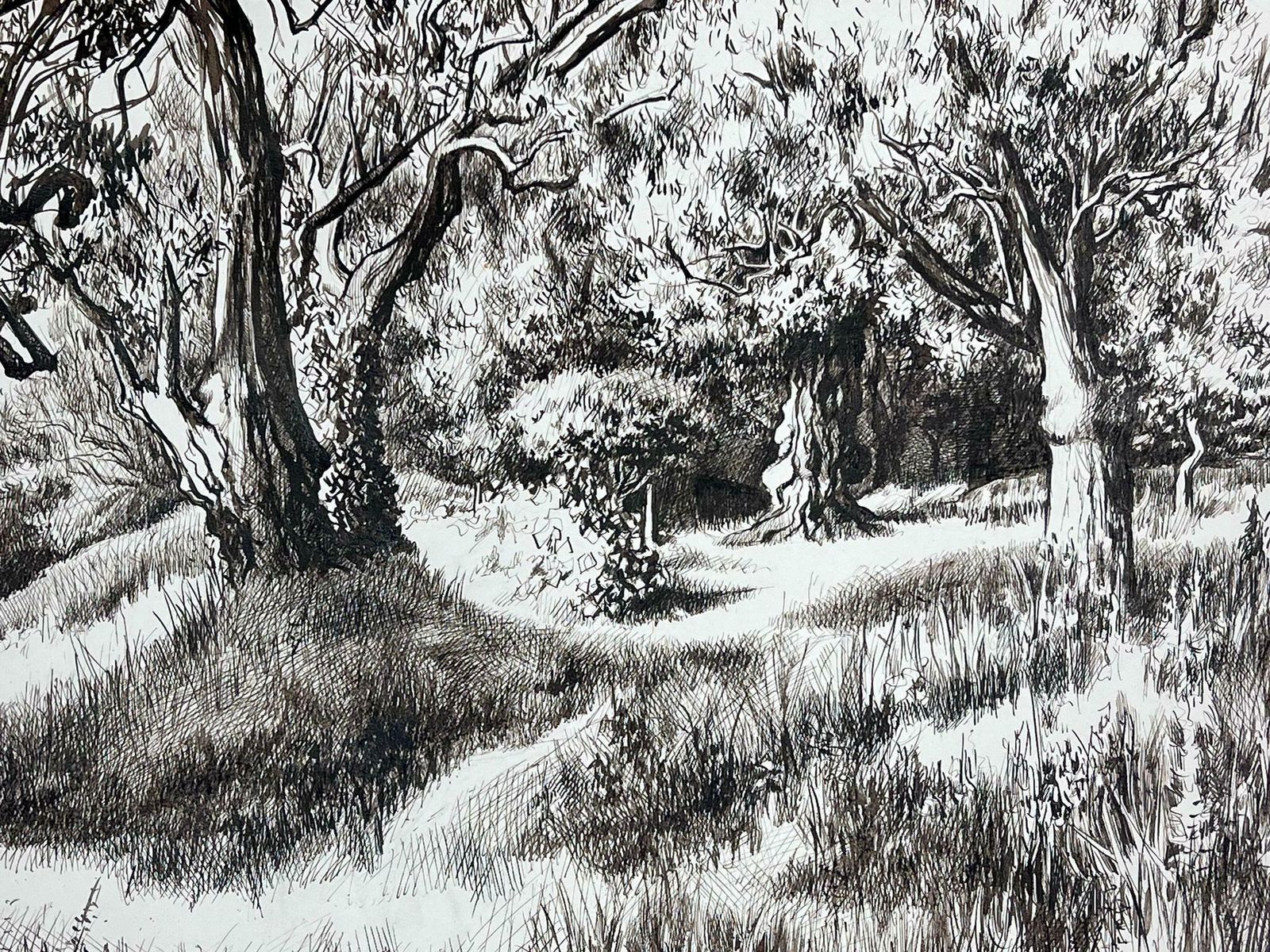 Josine Vignon1950s Black & White Ink Drawing Olive Tree Renoirs Garden Cagnes Sur Mer1950s photo for sale