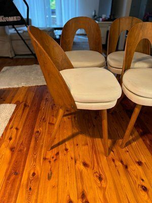 Mid Century Dining Chairs By Antonín šuman For Tatra Furniture, 1960s, Set Of 4 photo for sale