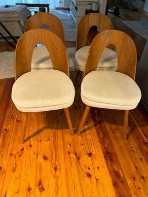 Mid Century Dining Chairs By Antonín šuman For Tatra Furniture, 1960s, Set Of 4 photo Furniture