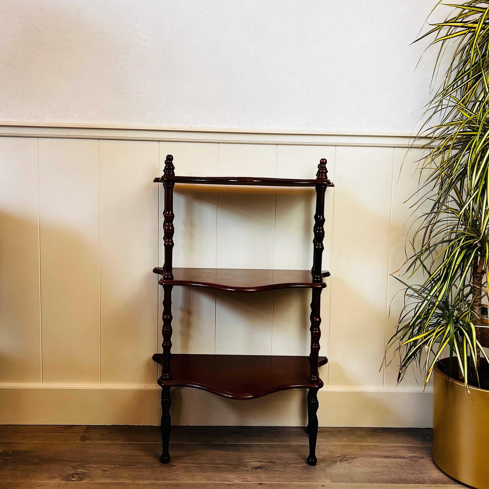 Oude étagère Van Mahoniehout – Vitrinekast, Plantentafel photo for sale