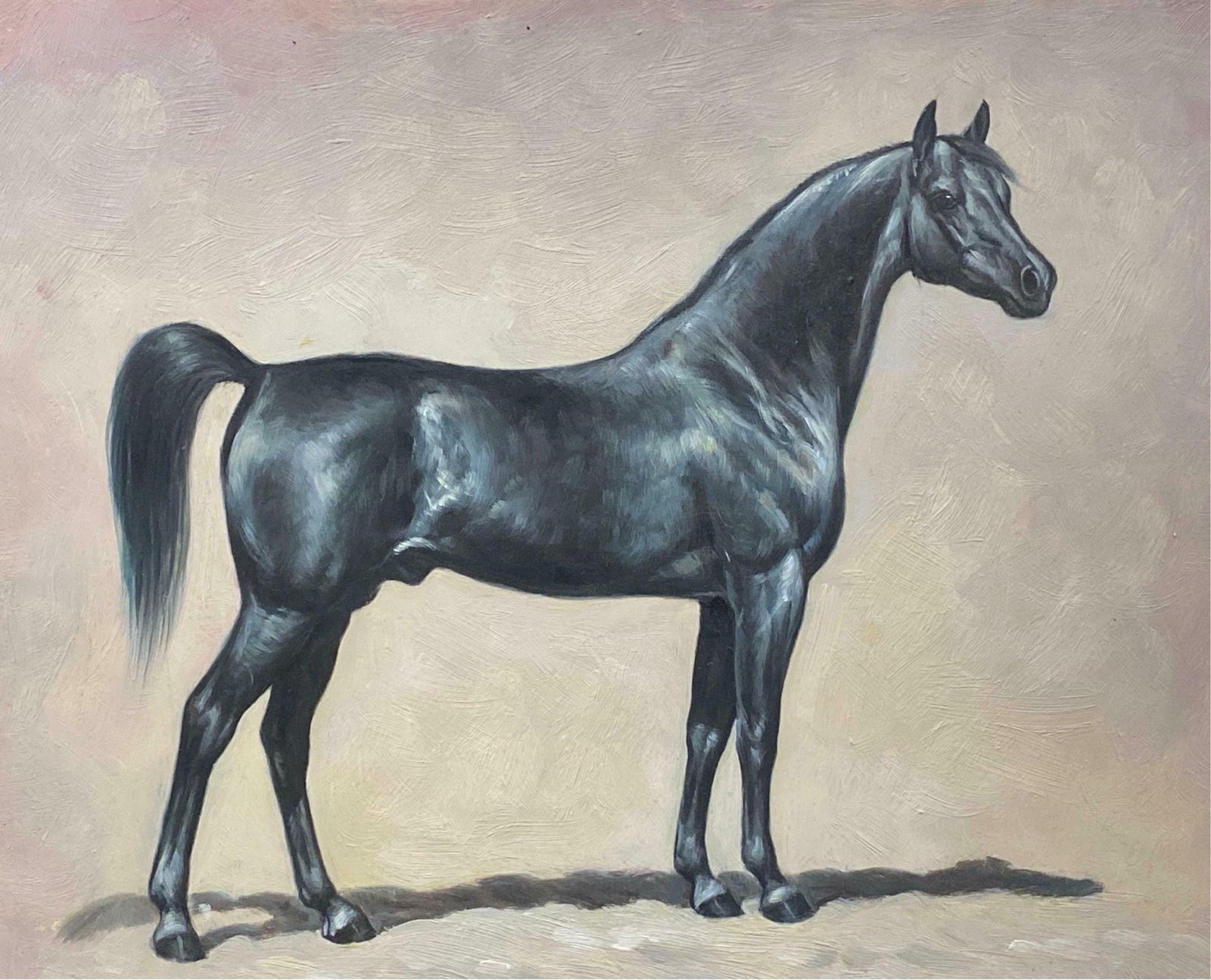 British Sporting Artfine Equestrian Horse Portrait British Oil Painting   Horse Standing20th Century