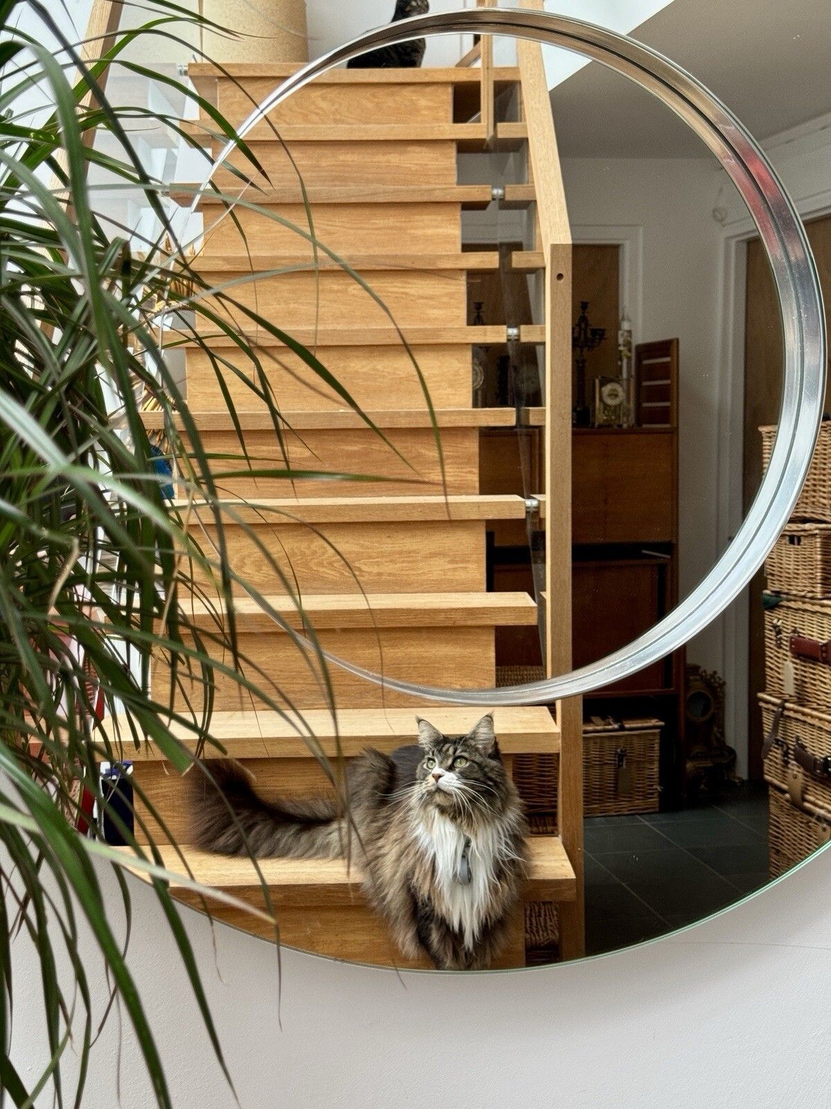 Deknudt Rondo S Modern Circular Wall Mirror Made In Belgium C1990’s photo buy