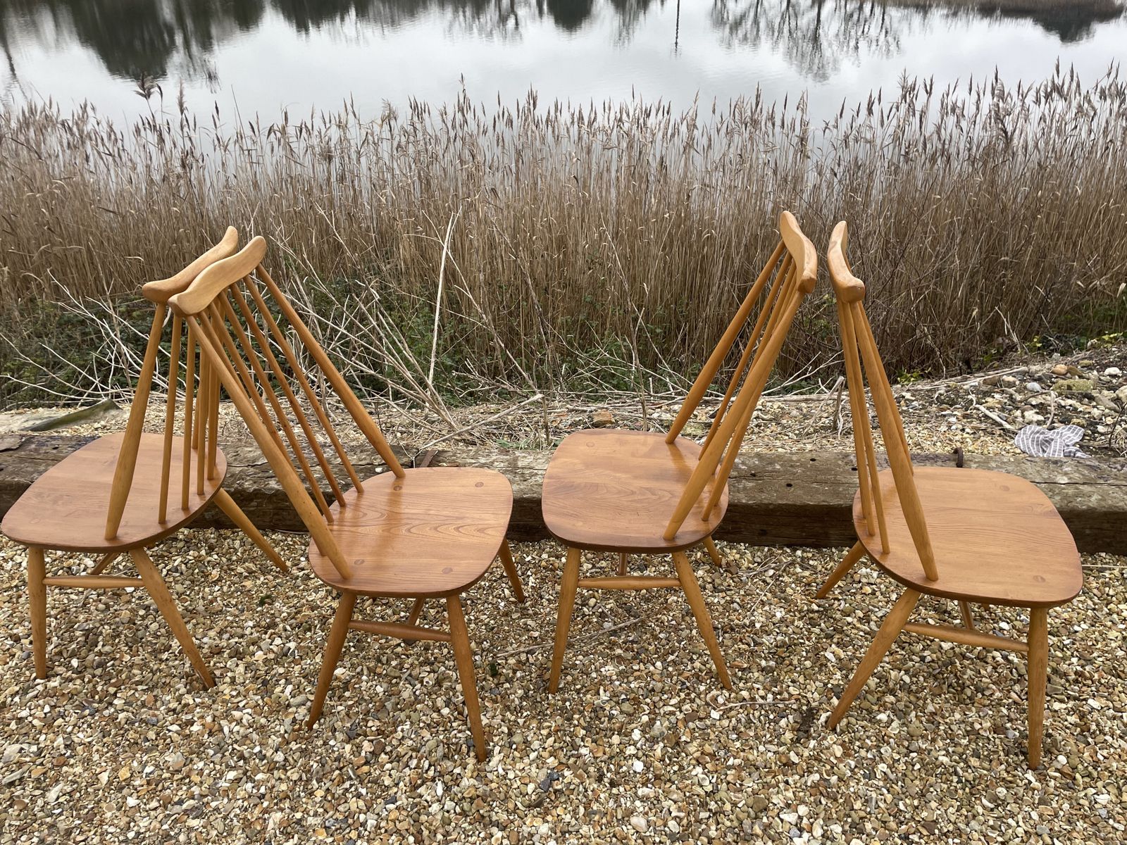 Set Of 4 Ercol Goldsmith Dining Chairs In Blonde , Blue Label photo buy