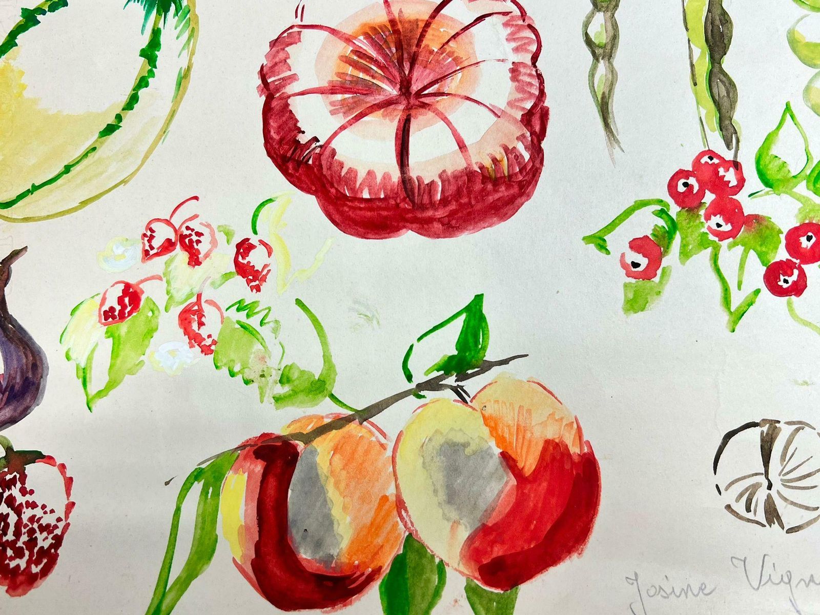 Josine Vignonmid Century French Colorful Illustration Sketches Of Different Fruits1960's photo Art
