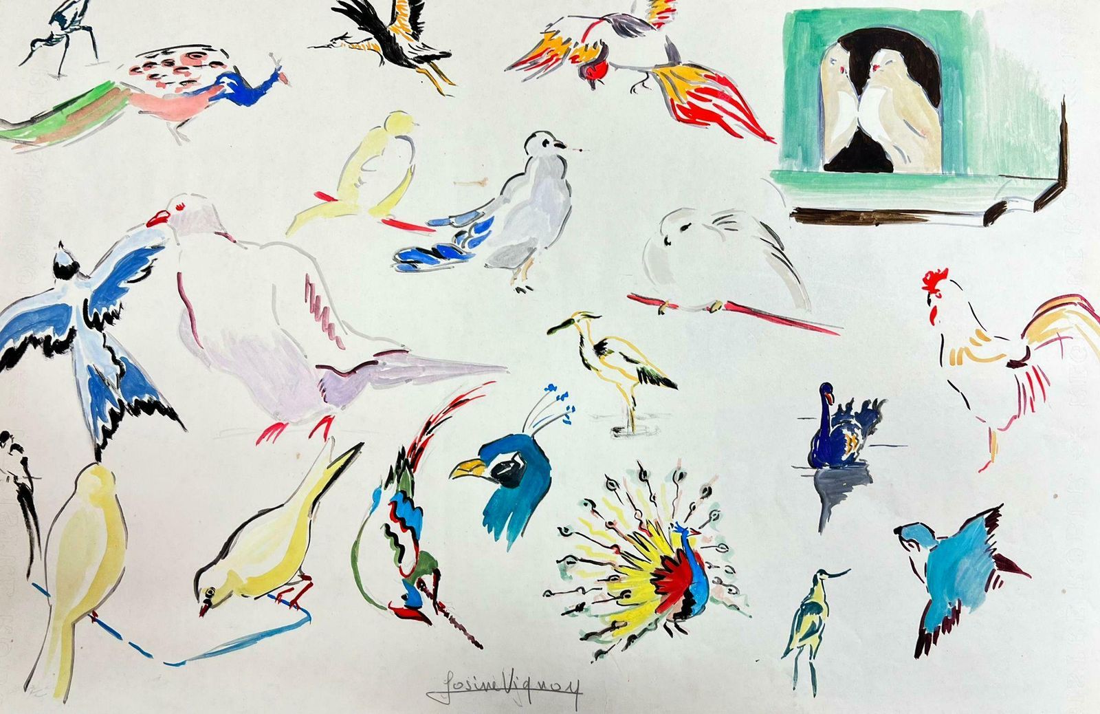 Josine Vignonmid Century French Illustration Sketches Of Different Colorful Birds1960's