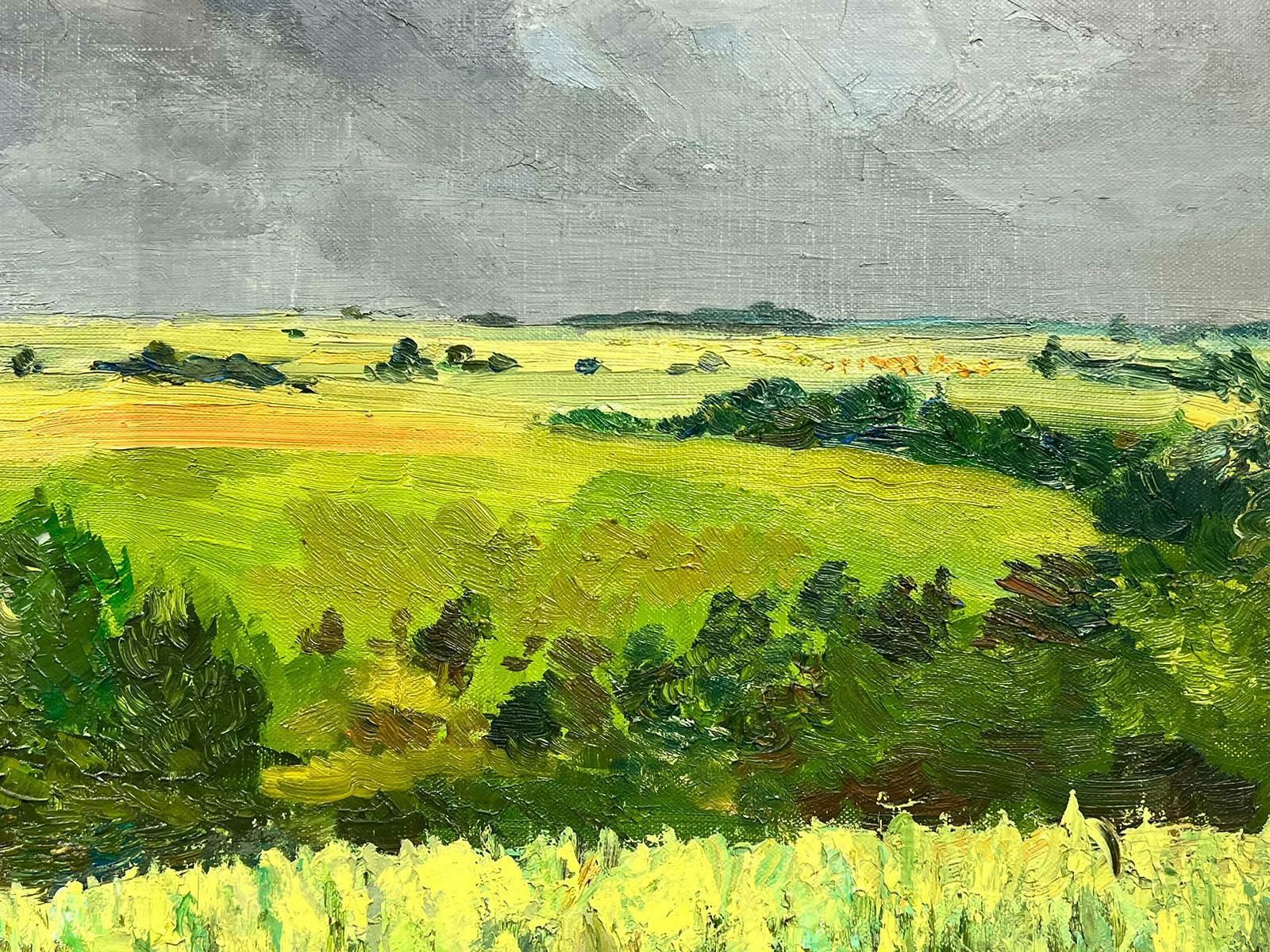 Josine Vignonbrooding Atmospheric Green Landscape Huge 1960s French Post Impressionist Oil1960's photo for sale