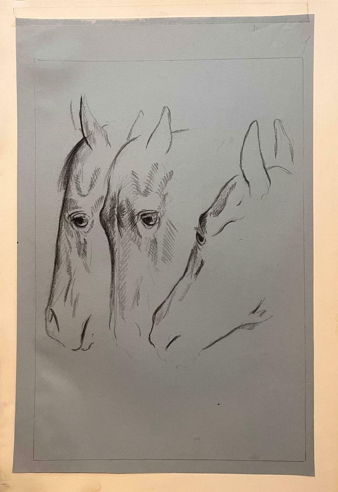 Robert Ladoustudy Of The Movement Of A Horses Head By Robert Ladou20th Century