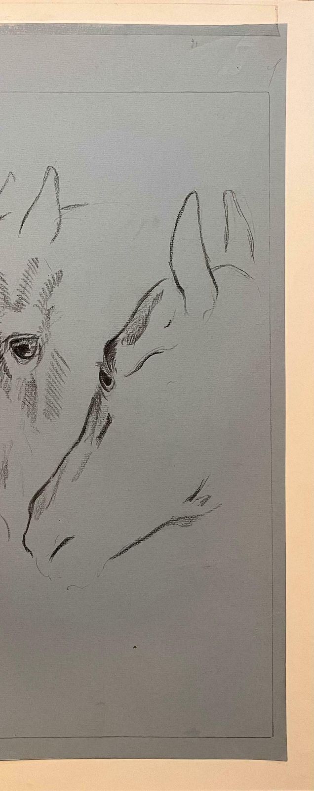 Robert Ladoustudy Of The Movement Of A Horses Head By Robert Ladou20th Century photo 510.0