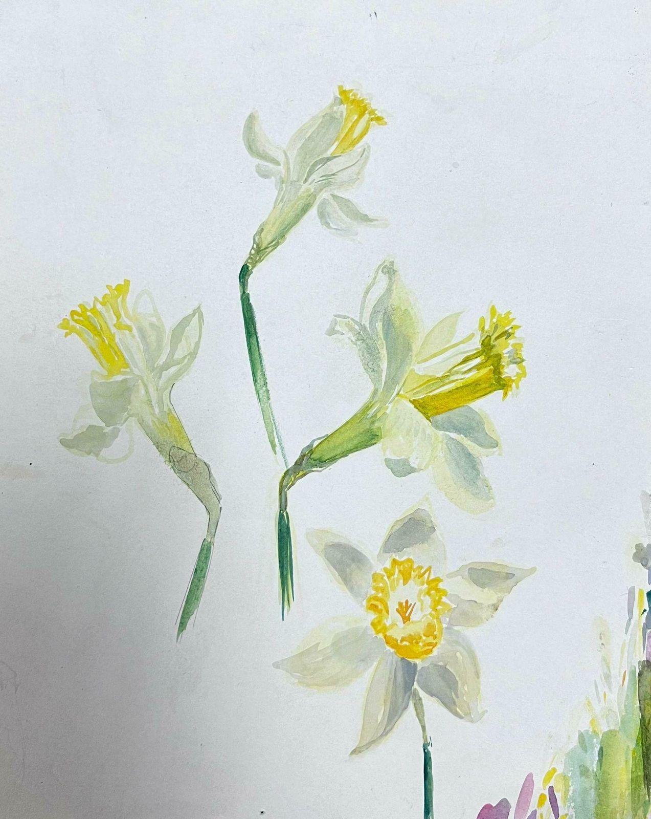 Josine Vignonmid Century French Illustration Yellow Daffodil Watercolour Sketch 1950s photo Art