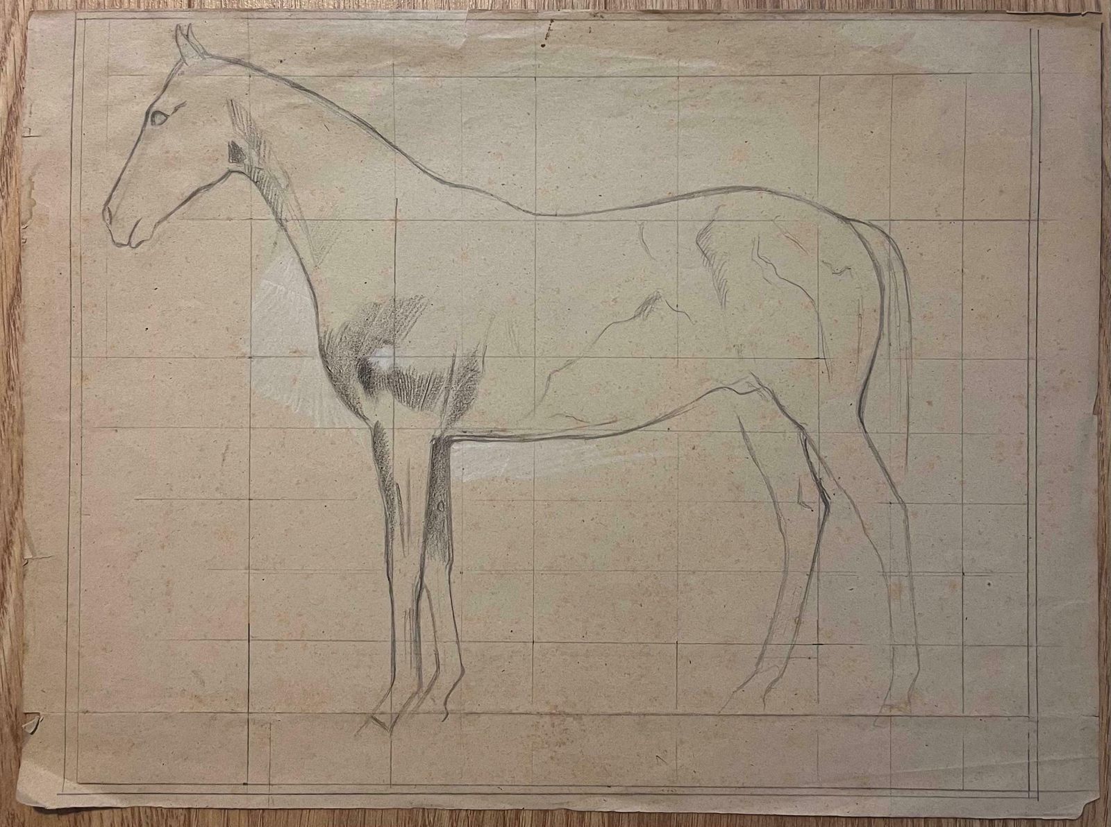 Robert Ladouoriginal French Anatomical Pencil Study Of A Horse In Profile20th Century photo furniture