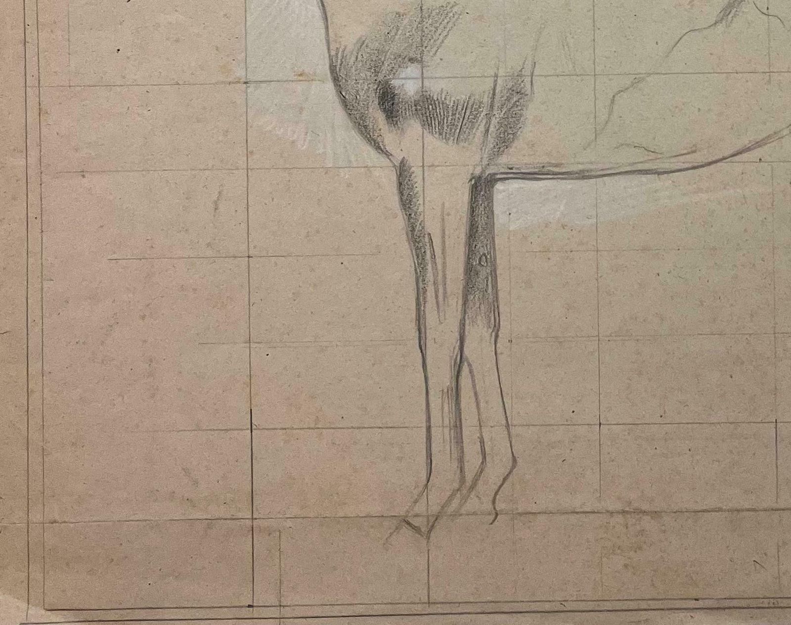 Robert Ladouoriginal French Anatomical Pencil Study Of A Horse In Profile20th Century photo Art