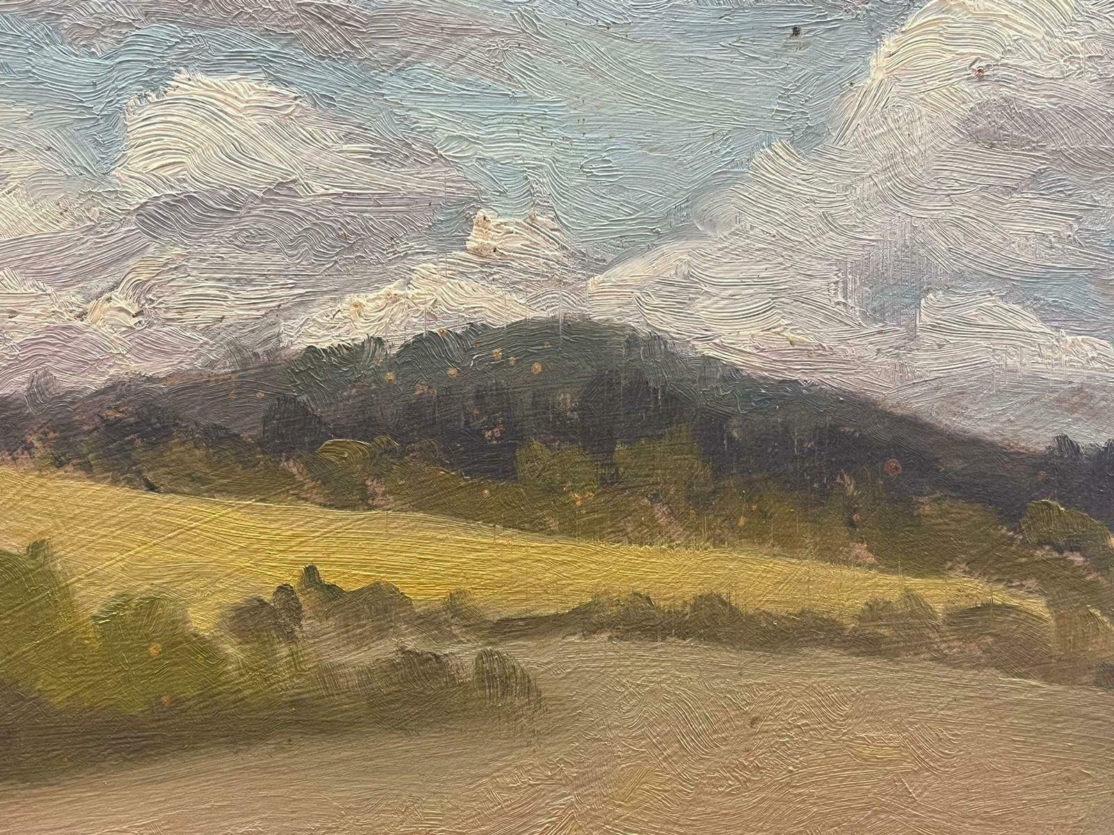 Geza Somerset Paddoncloudy Skies Over Golden Meadow Contemporary British Oil Painting photo furniture