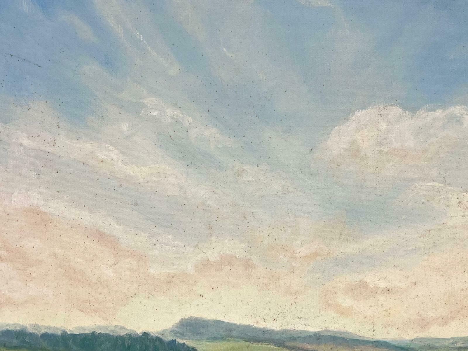 Geza Somerset Paddoncloudy Blue Skies Over Stripey Meadows Contemporary British Oil Painting photo furniture