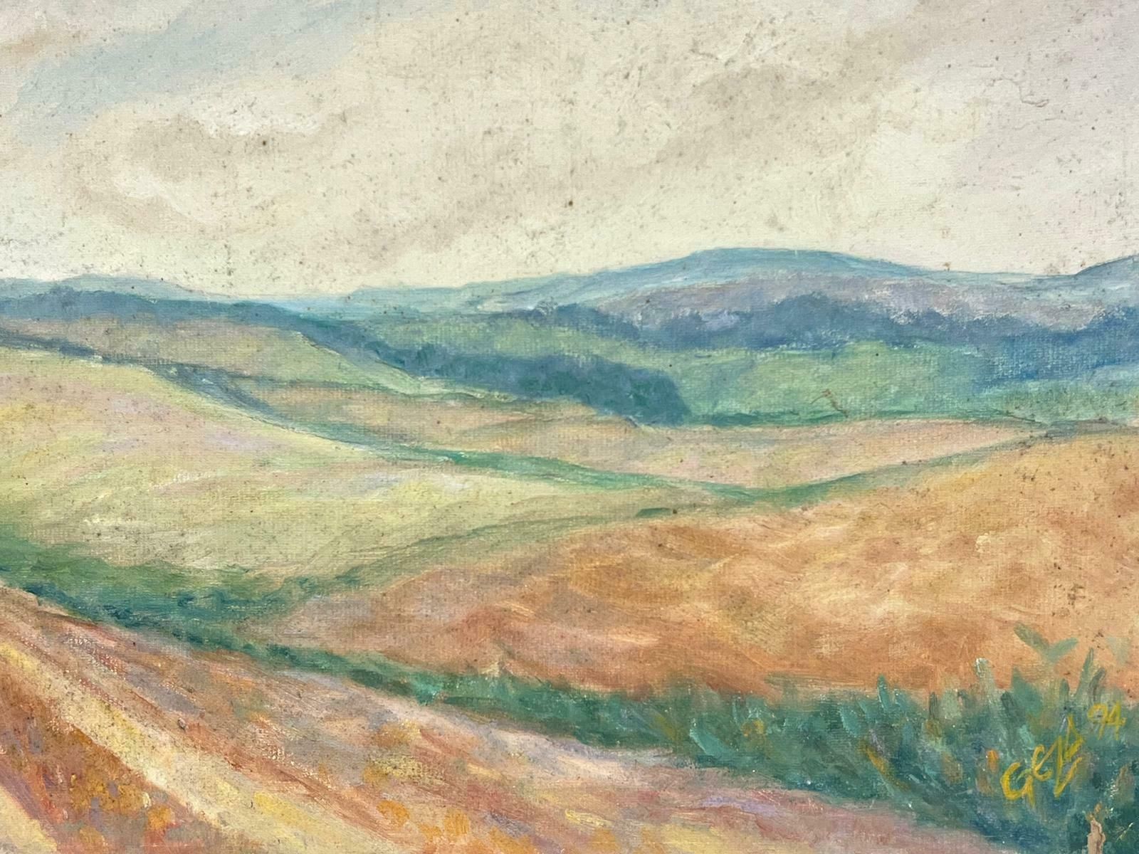 Geza Somerset Paddoncloudy Blue Skies Over Stripey Meadows Contemporary British Oil Painting photo for sale