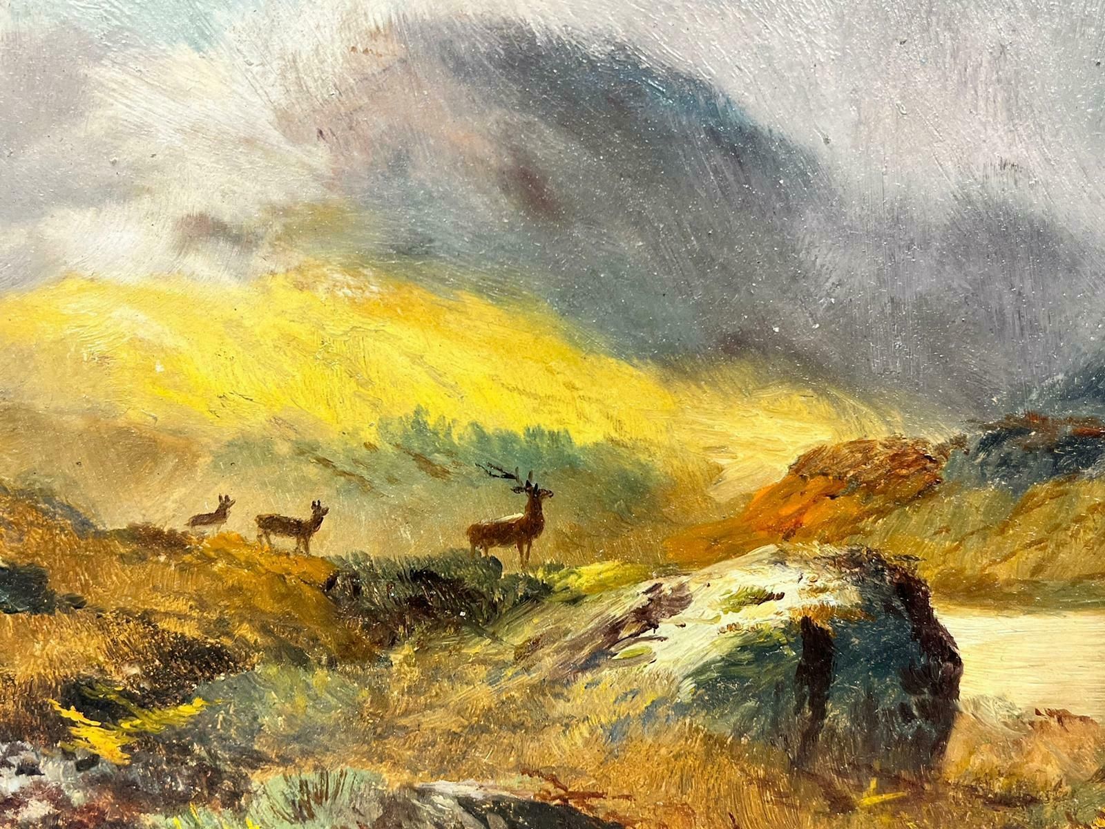 Charles W. Middletonvictorian Signed Oil Family Of Stags Scottish Highland Landscape Beside Loch1896 photo Art