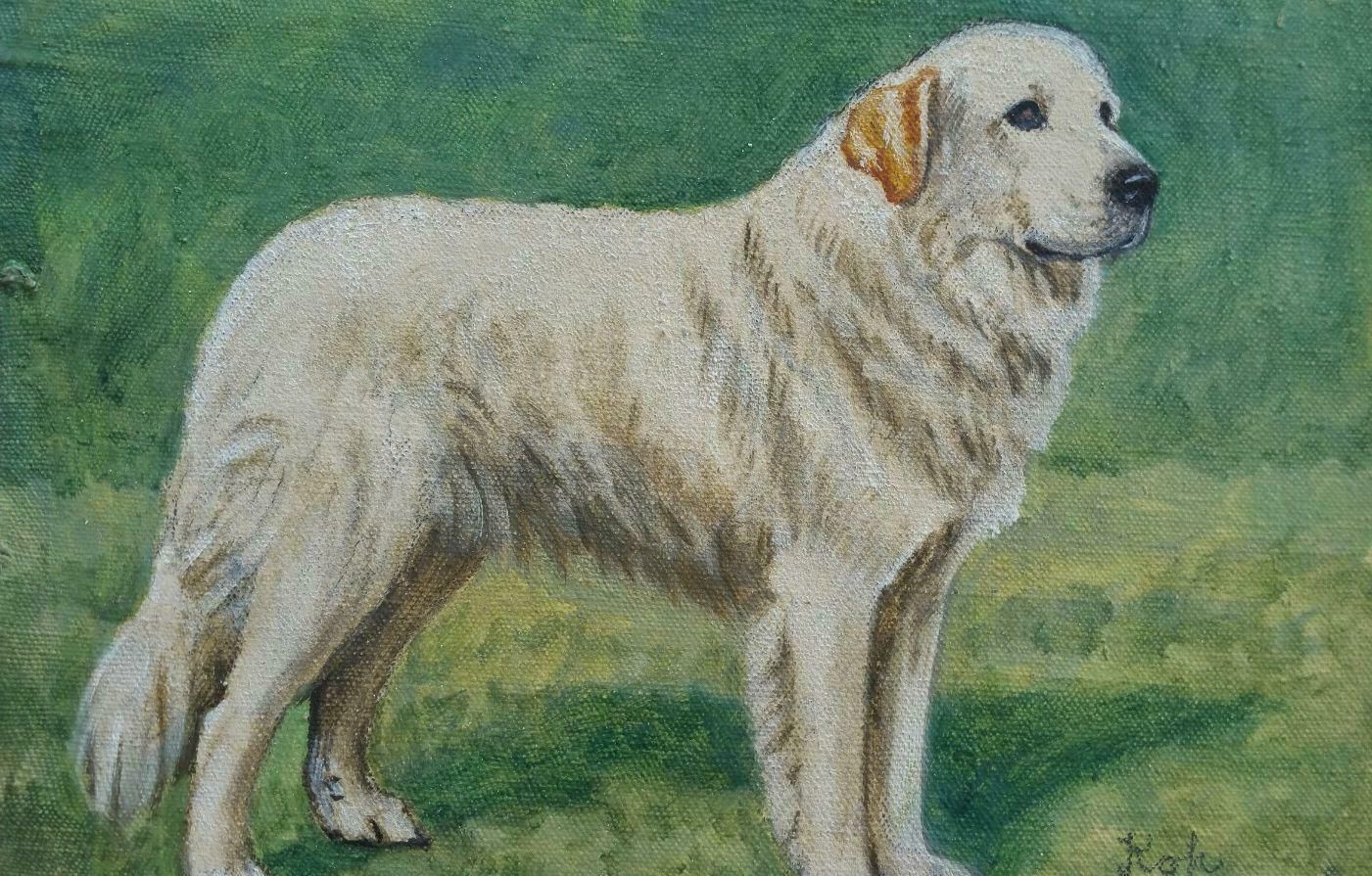 Dorothy Alexandra Johnsonenglish School Mid 20th Century Oil Painting Pyrenean Mountain Dogc 1950s