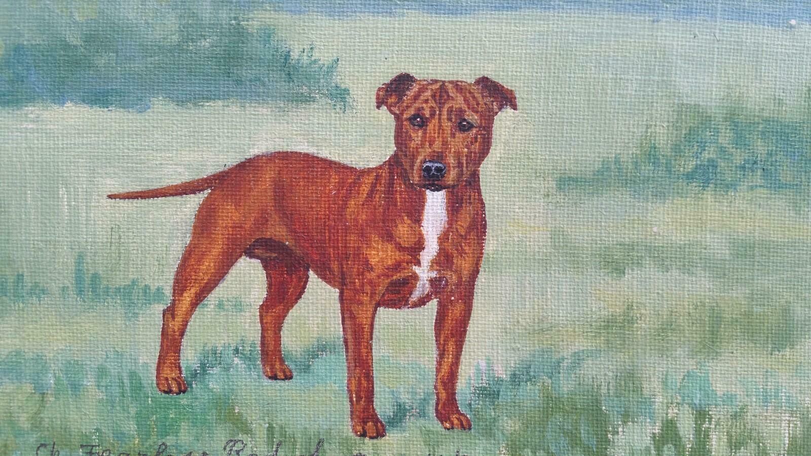 Dorothy Alexandra Johnsonenglish School Mid 20th Century Oil Painting Staffordshire Bull Terrier Dog C 1950s photo 586.0