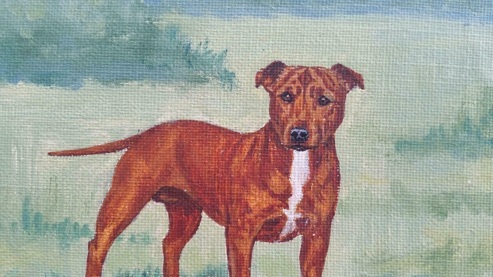 Dorothy Alexandra Johnsonenglish School Mid 20th Century Oil Painting Staffordshire Bull Terrier Dog C 1950s photo buy