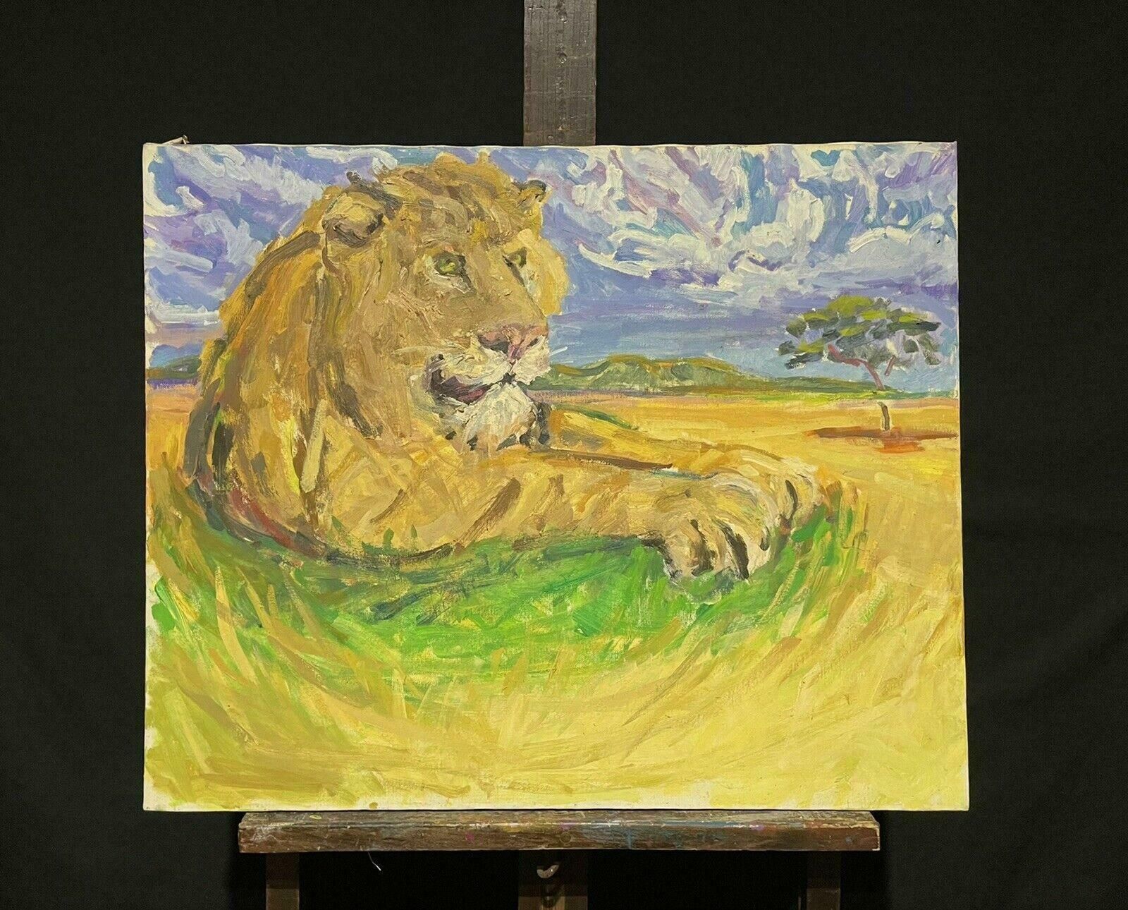 Douglas Stuart Allenlarge Impressionist Signed Oil Painting   Lion Resting In Landscape20th Century photo furniture