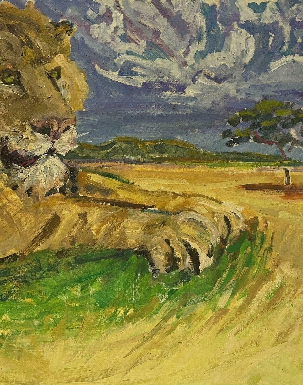 Douglas Stuart Allenlarge Impressionist Signed Oil Painting   Lion Resting In Landscape20th Century photo Art