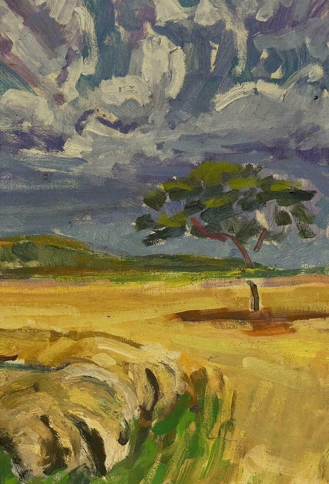Douglas Stuart Allenlarge Impressionist Signed Oil Painting   Lion Resting In Landscape20th Century photo 1530.0