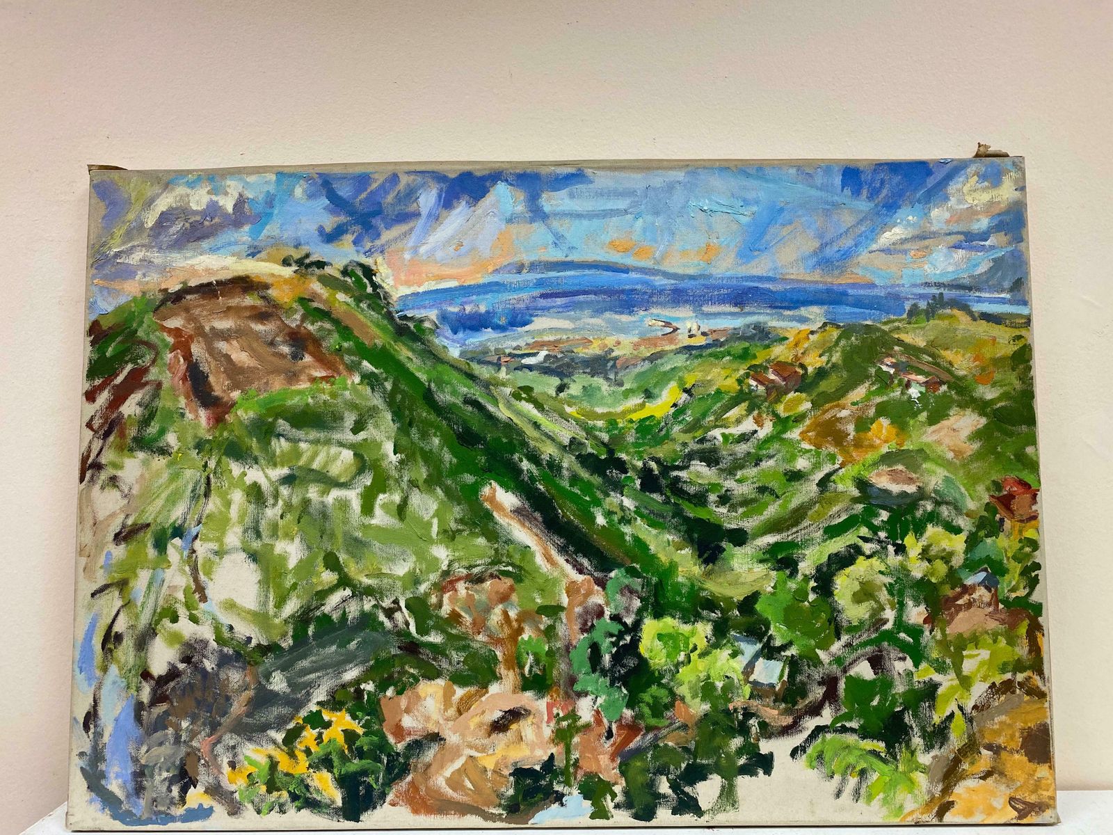 Douglas Stuart Allenimpressionist Oil Painting   Colourful Mountain Landscape20th Century photo furniture