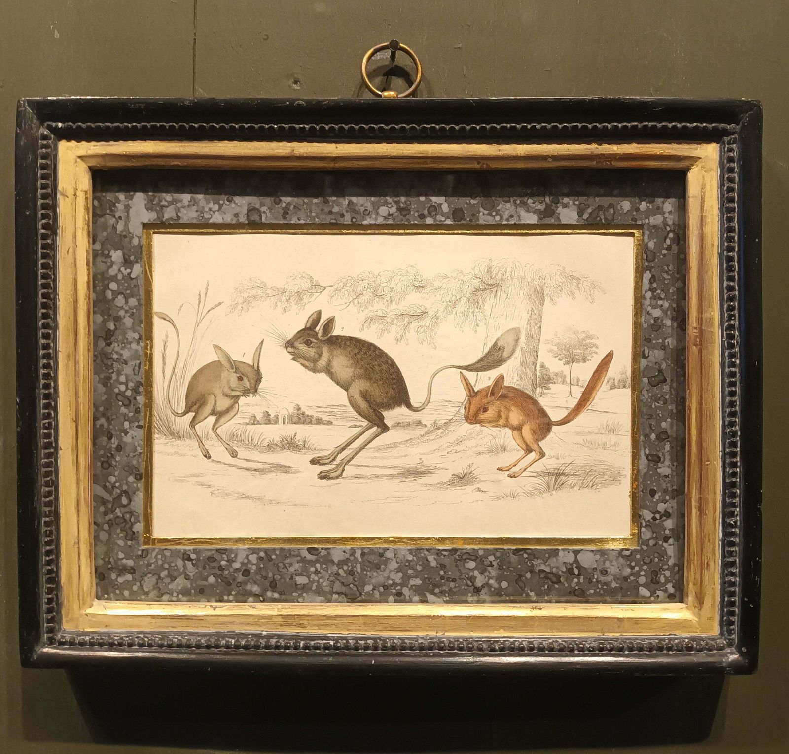 19th Century Jerboa's Pictures photo furniture
