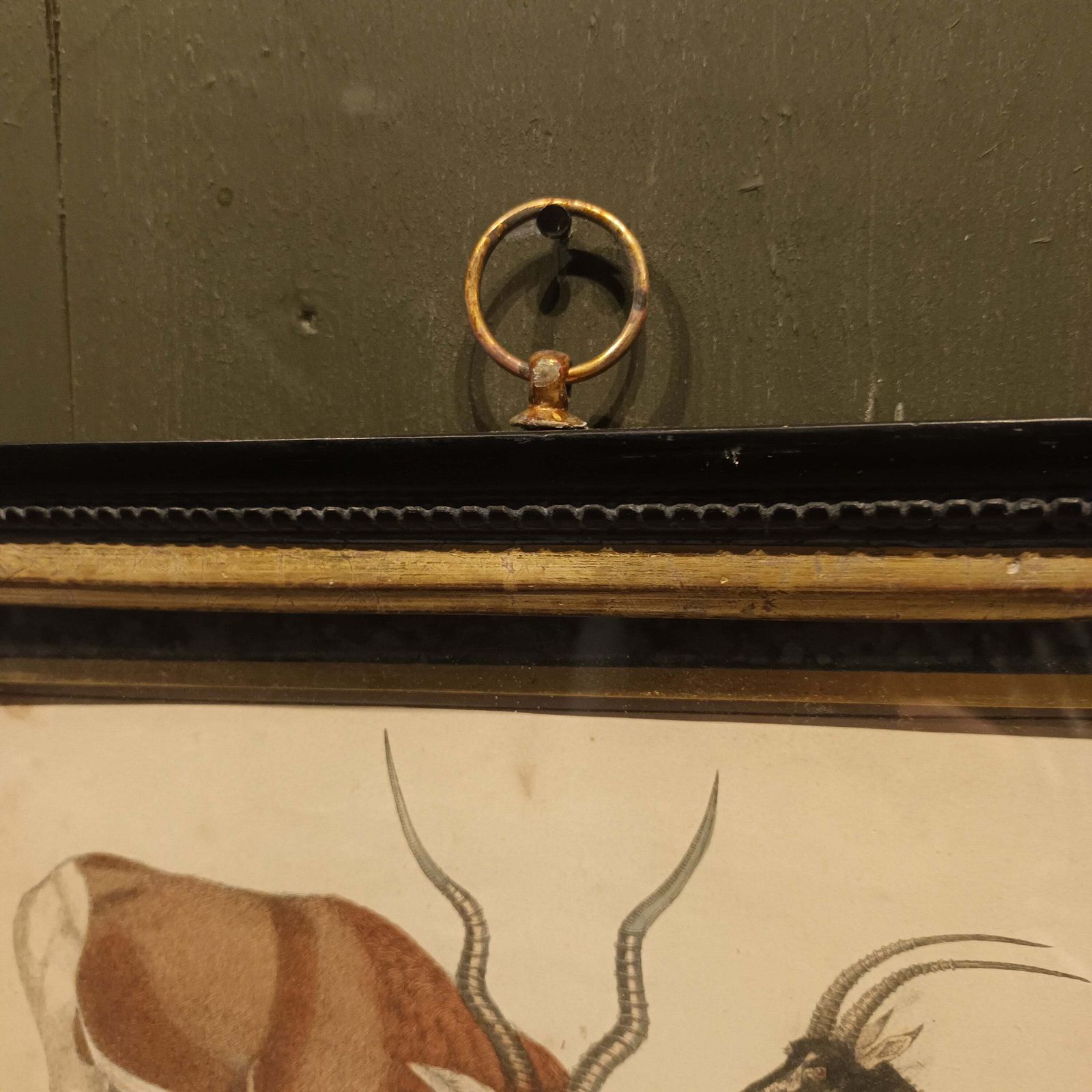 19th Century Framed Antelope And Hog Pictures photo for sale