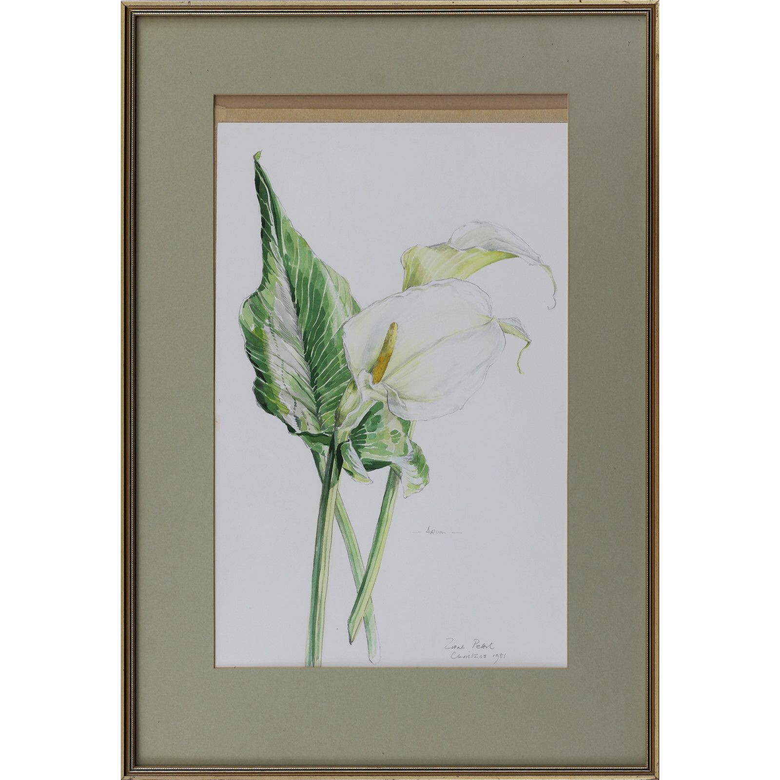 A Pair Of Watercolours By Zillah Pettit. Subject Is Flowers, Arum And Iris. photo furniture