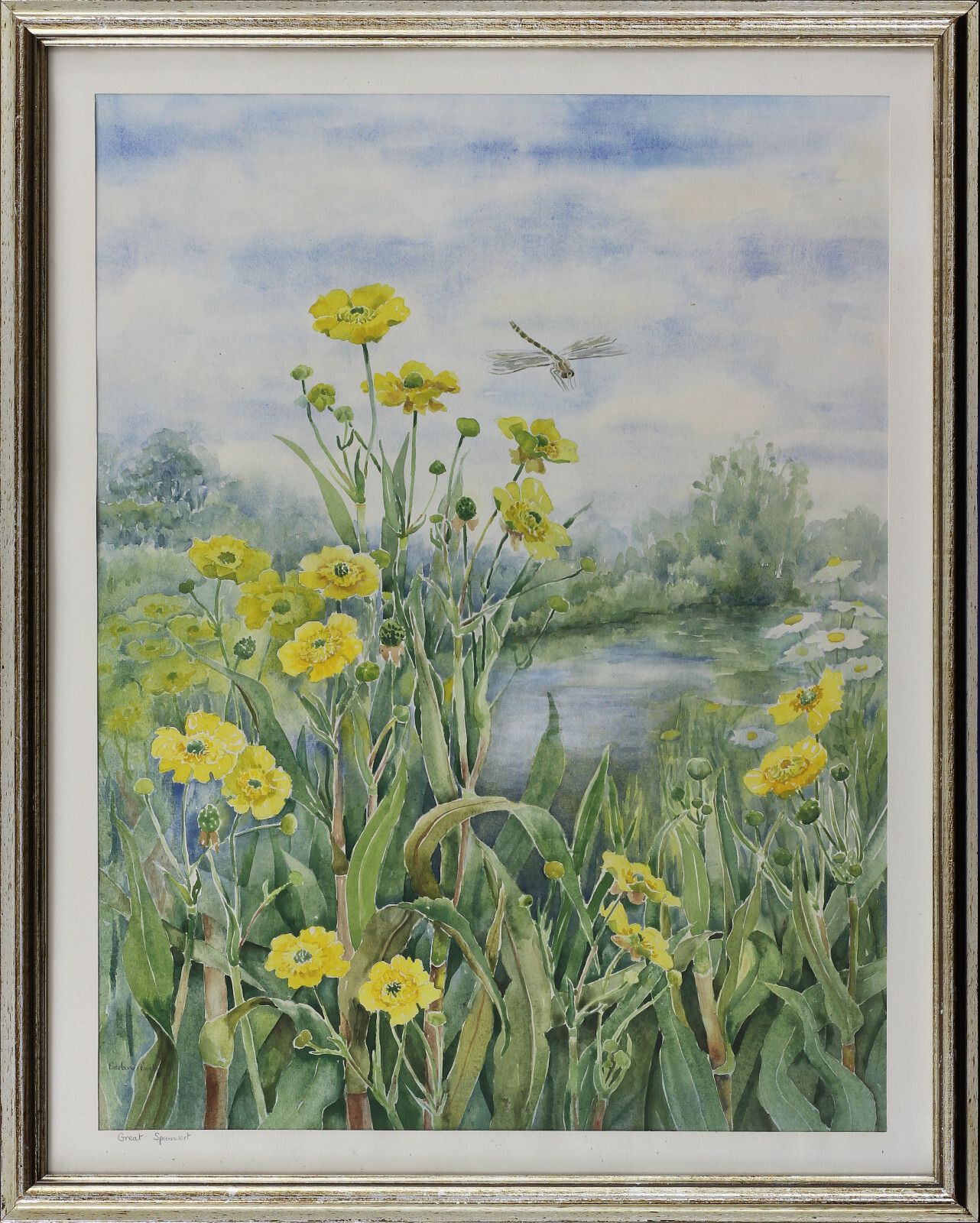Watercolour By Barbara Booth. Title Is "Great Spearwort". photo Art