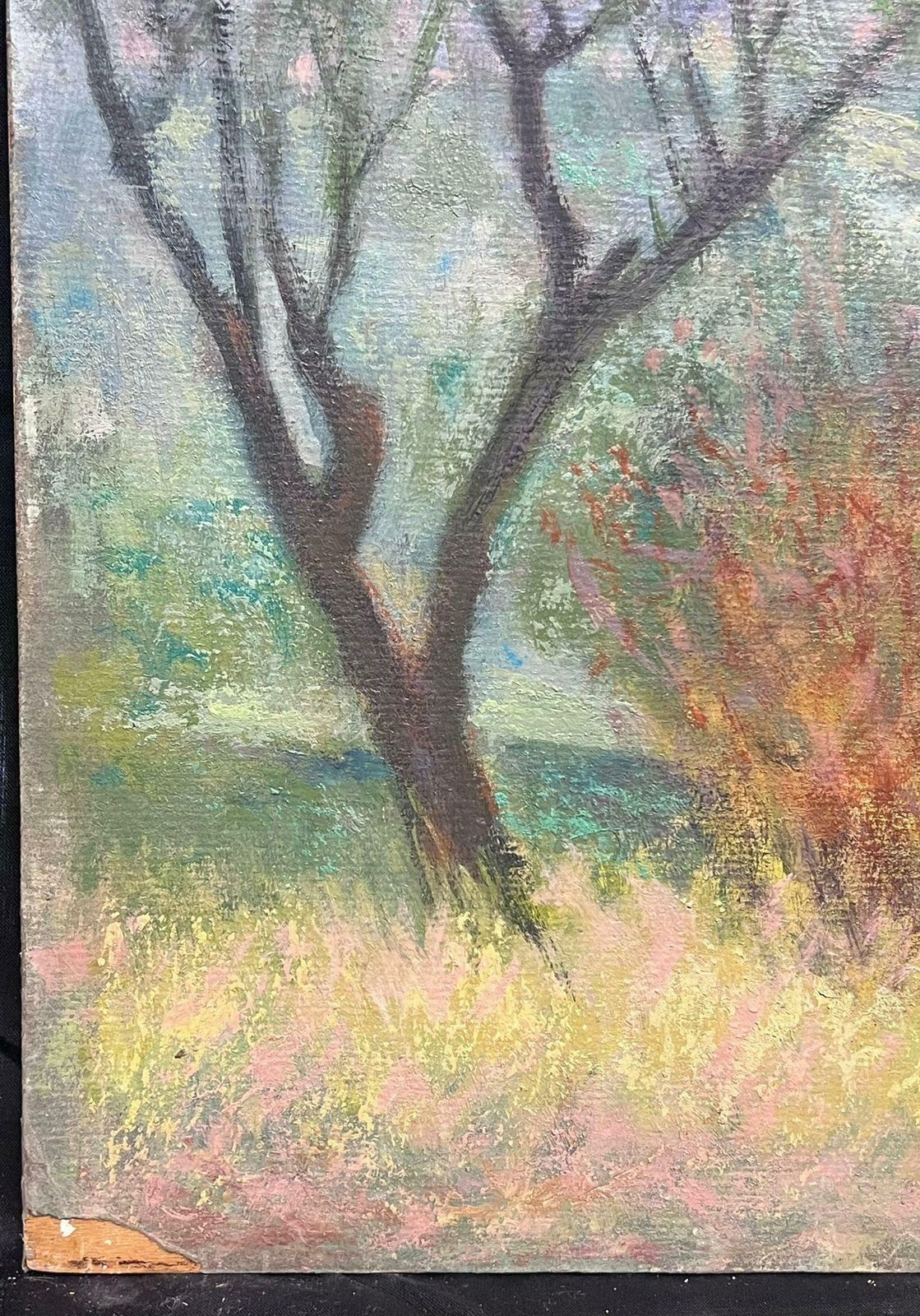 Jacob Markiel20th Century French Modernist Oil Painting Hazy Summer French Meadows Landscape photo for sale