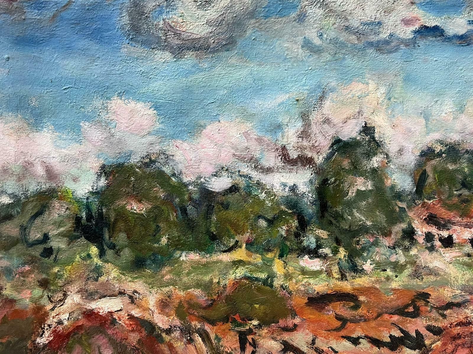 Georges Bousquaitmid 20th Century French Post Impressionist Signed Oil Mud Bails French Valley photo Art