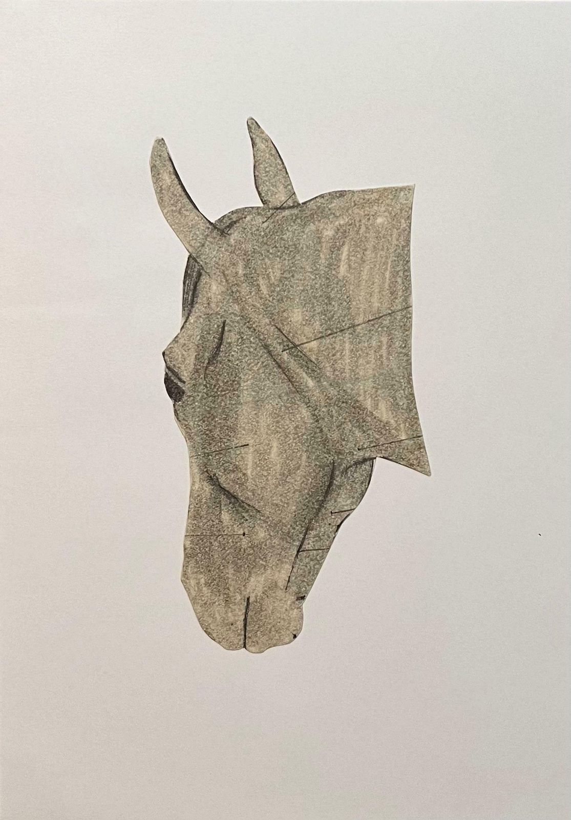 Robert Ladouoriginal French Anatomical Study Of Horse's Head20th Century