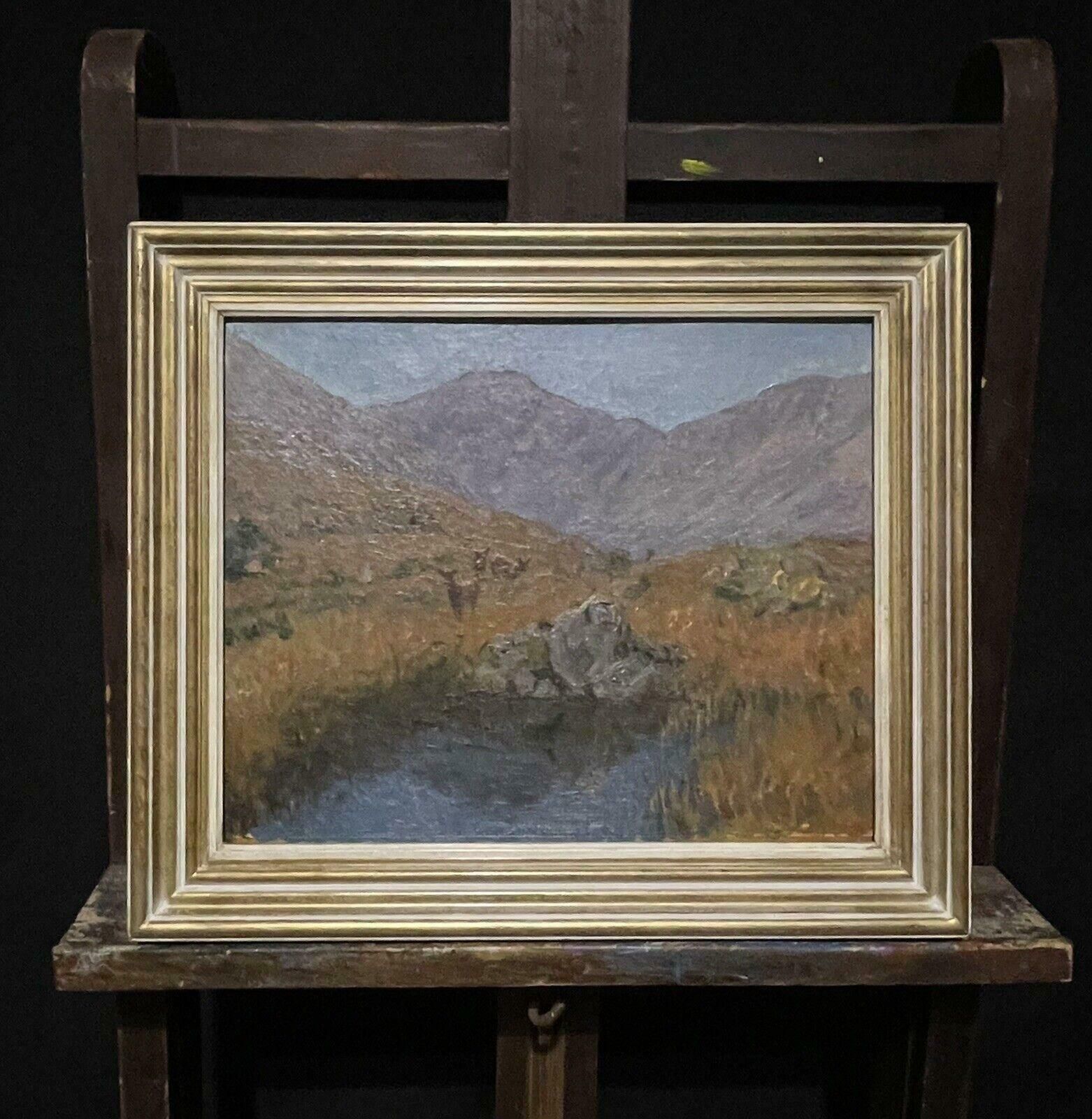 Scottish Schoolyoung Deer In Summer Scottish Highland Glen By Pool Of Water20th Century photo furniture